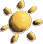 sun shines 