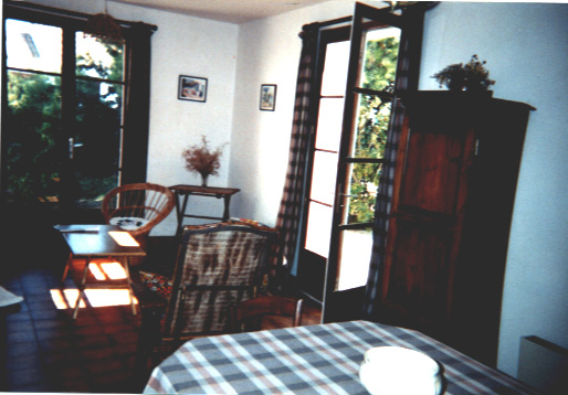 salon - living room
